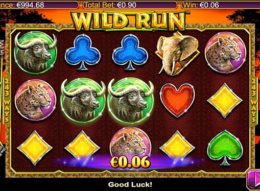 Выигрышная комбинация символов в автомате Wild Run