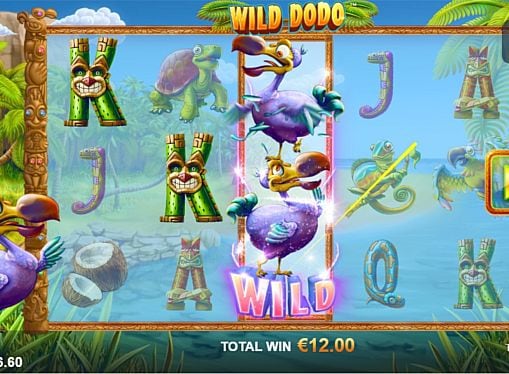 Призовая комбинация на линии в игровом автомате Wild Dodo