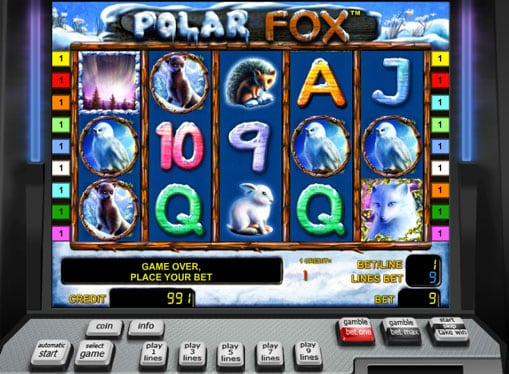 Символы Polar Fox